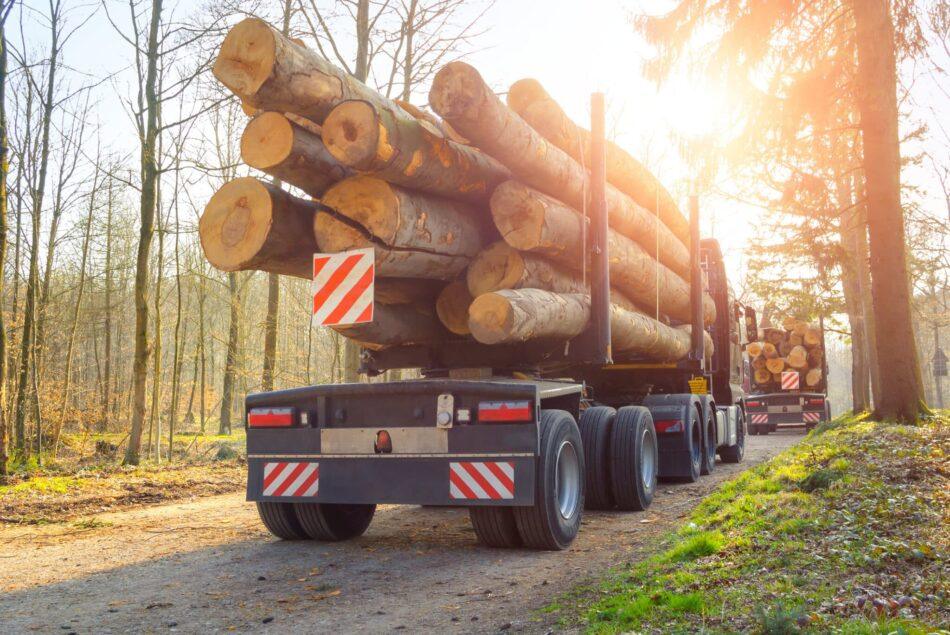A forestry lorry loaded with logs